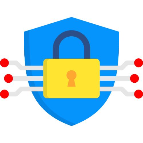 Data Encryption Protocols